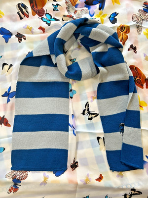 Wizard Potter Magical Academy House Blue & Grey Cosplay Costume Scarf Wrap