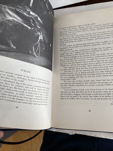 Walter Chandoha The Literary Cat HC No DJ 1977 Spine Separating - Picture 9 of 9