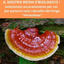 REISHI / GANODERMA BIO 200 caps 500mg