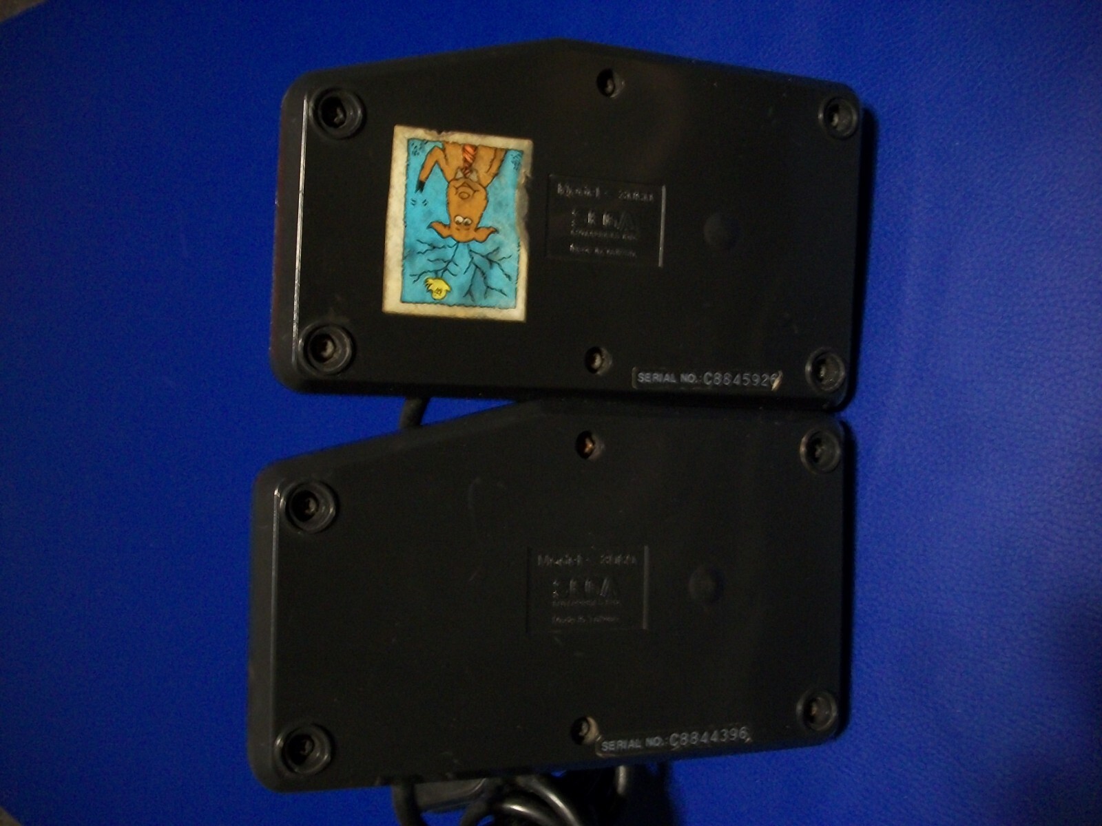 Picture 9 of 9