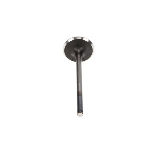 ProX 28.6351-1 Titanium Exhaust Valve fits KTM 350 SXF 11-22 / XCF EXCF 12-22 - Picture 3 of 3