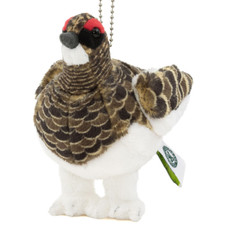Colorata Japanese Grouse Summer Feather Plush Mascot Real Birds 9cm x 12.5cm