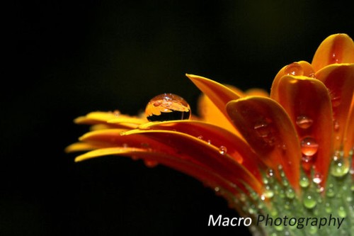 Nueva lente ojo de pez súper ancha HD para Panasonic HDC-TM700K HDC-TM700 - Imagen 4 de 12