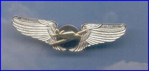 Swift Aircraft Airplane Plane Wings 99's Aviator Pin - Picture 2 of 2