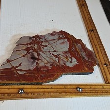 AUSTRALIAN NOREENA JASPER slab beautiful colors. 8 1/4" x 5 3/4" x 1/4" 13.9oz.
