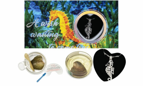 Seahorse Cage Pendant Love Wish Pearl Kit Cultured Pearl Oyster 16" Necklace Set