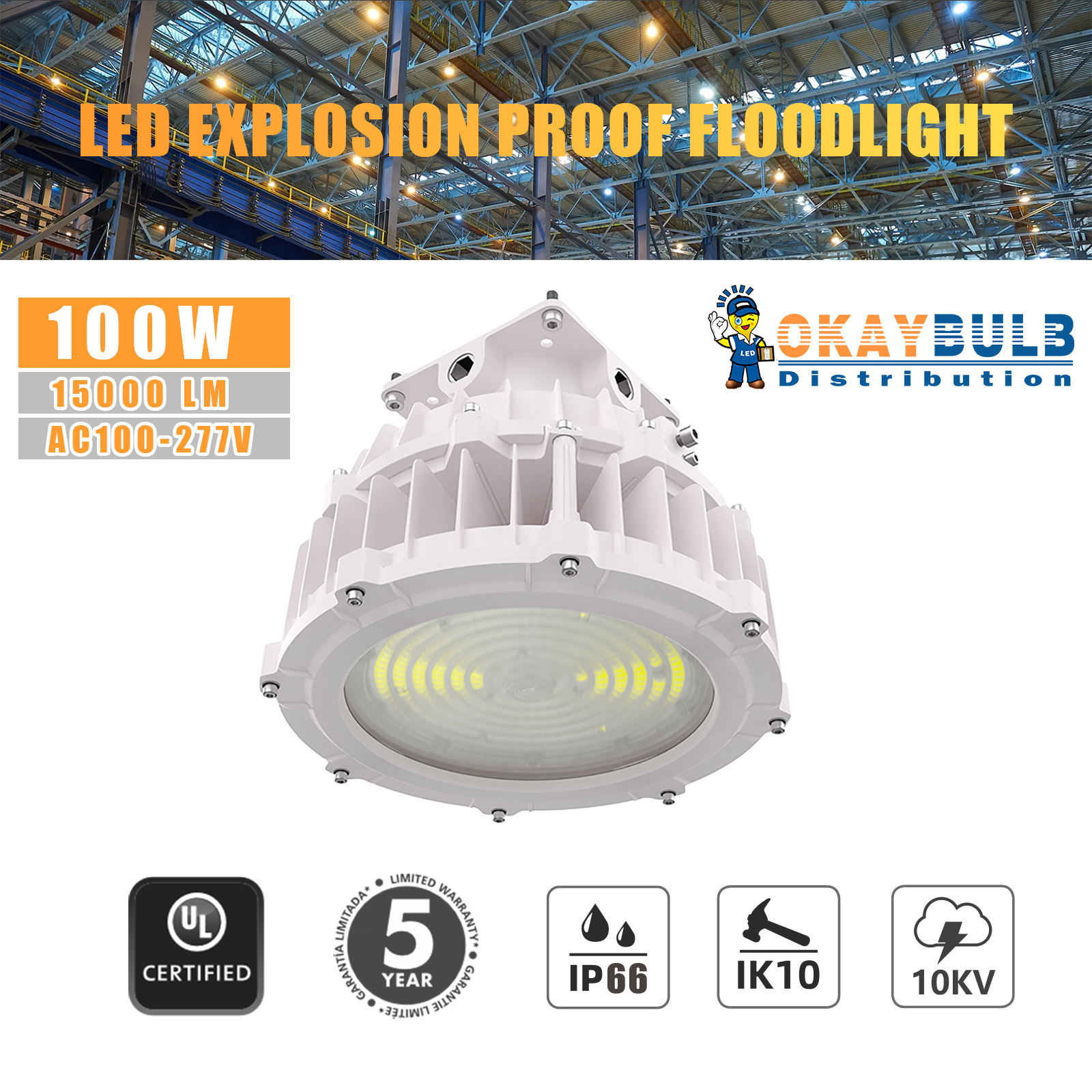 100W Led Flood Light Indoor Industrial Security Light Explosion Proof Lamp ETL