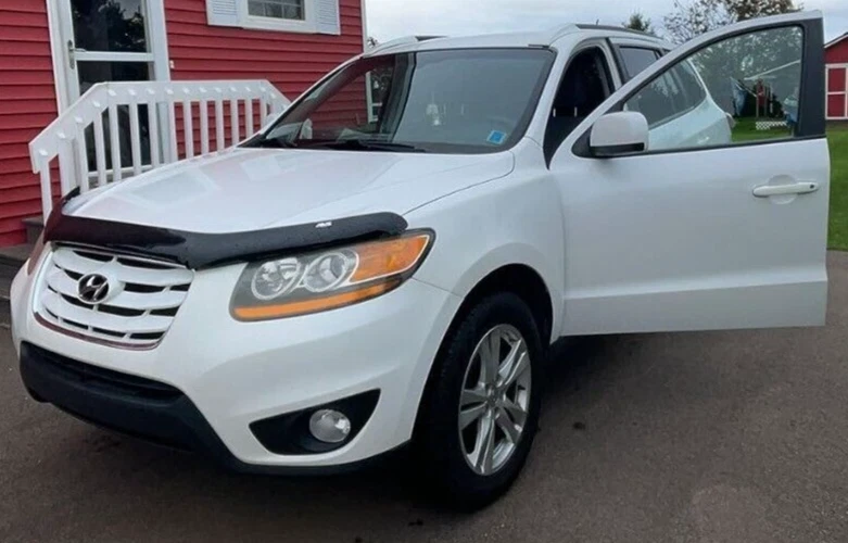 AVS BugFlector II Hood Protector Bug Shield Deflector for 07-12 Hyundai Santa Fe - Image 2 of 3