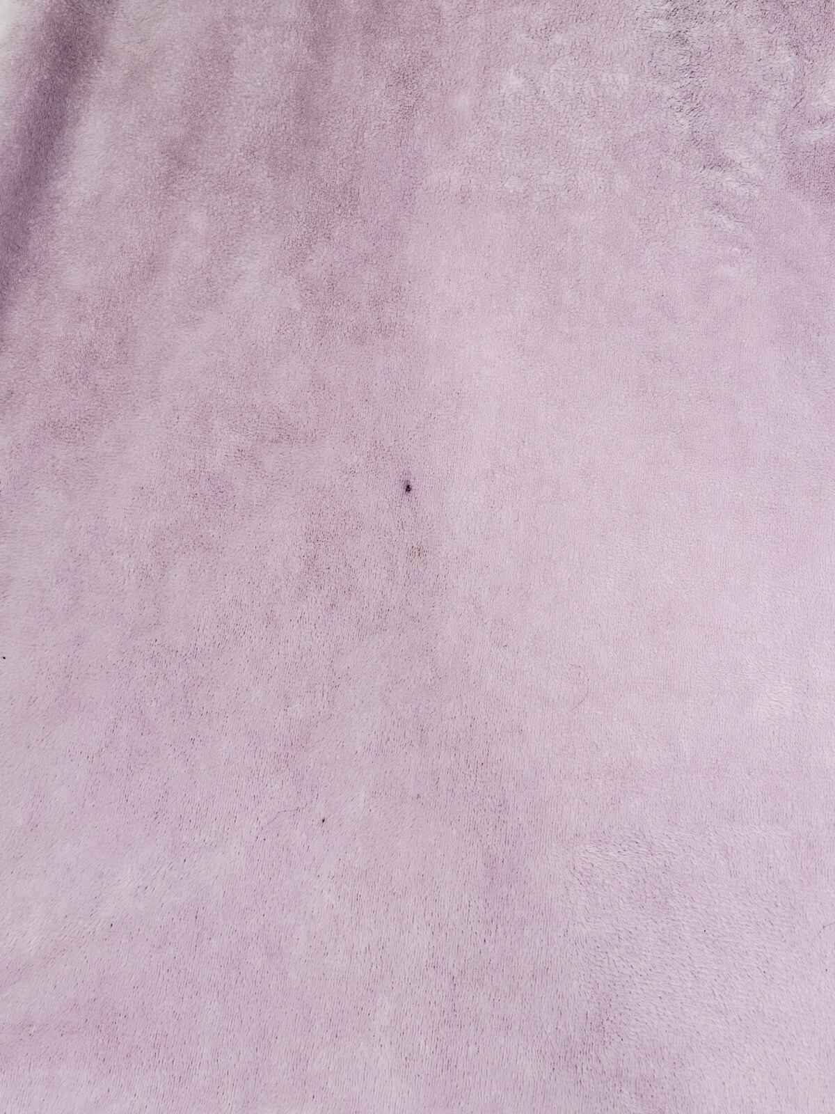 Picture 4 of 13