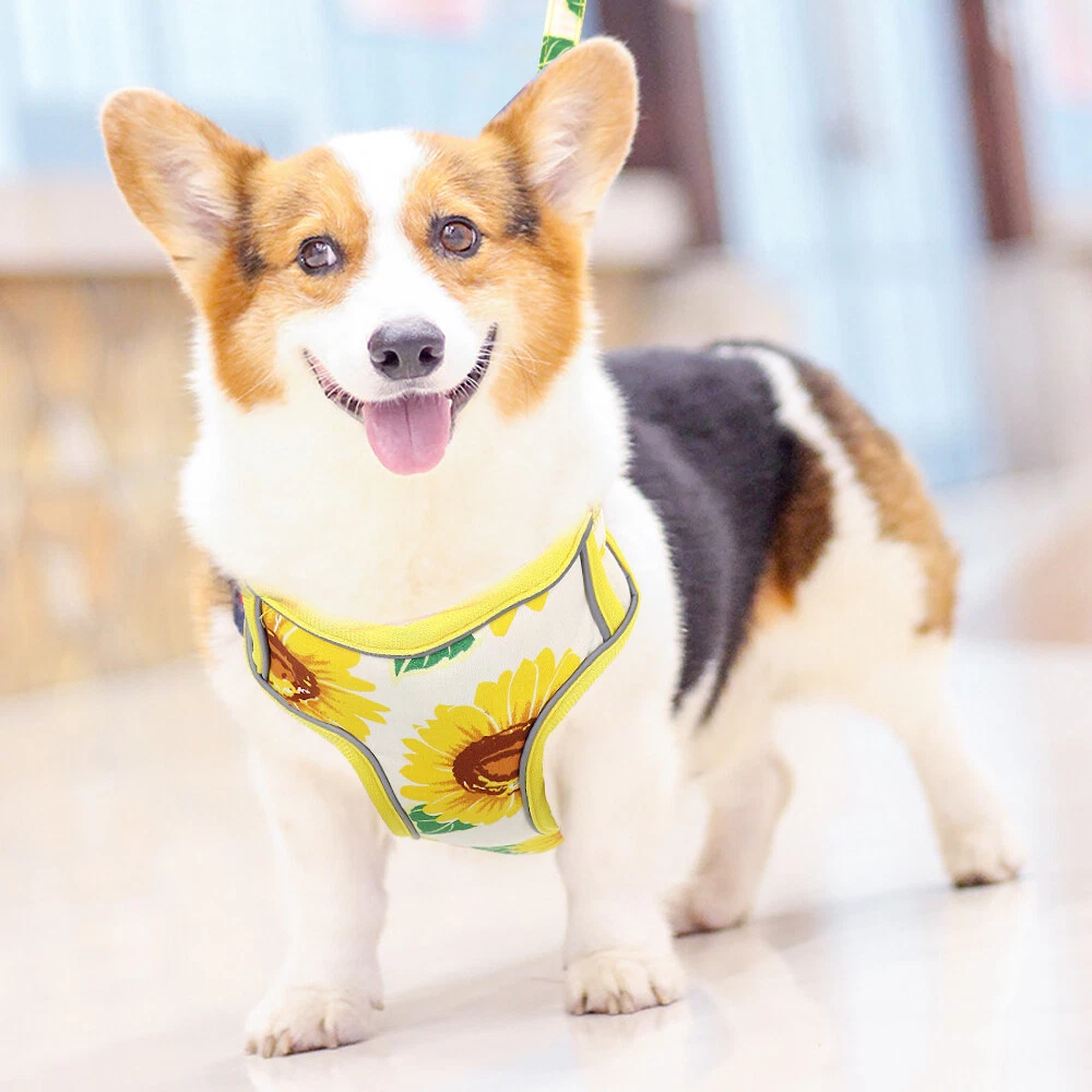 Dog Harness&Leash&Treat Bag Mesh Reflective Pet Puppy Cat Walking Harness Vest