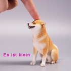 Bild 3 von 29