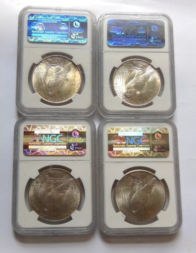 Peace Starter Set MS64 NGC Peace Silver Dollar $1 - 1922, 1923, 1924, 1925 - Picture 2 of 11