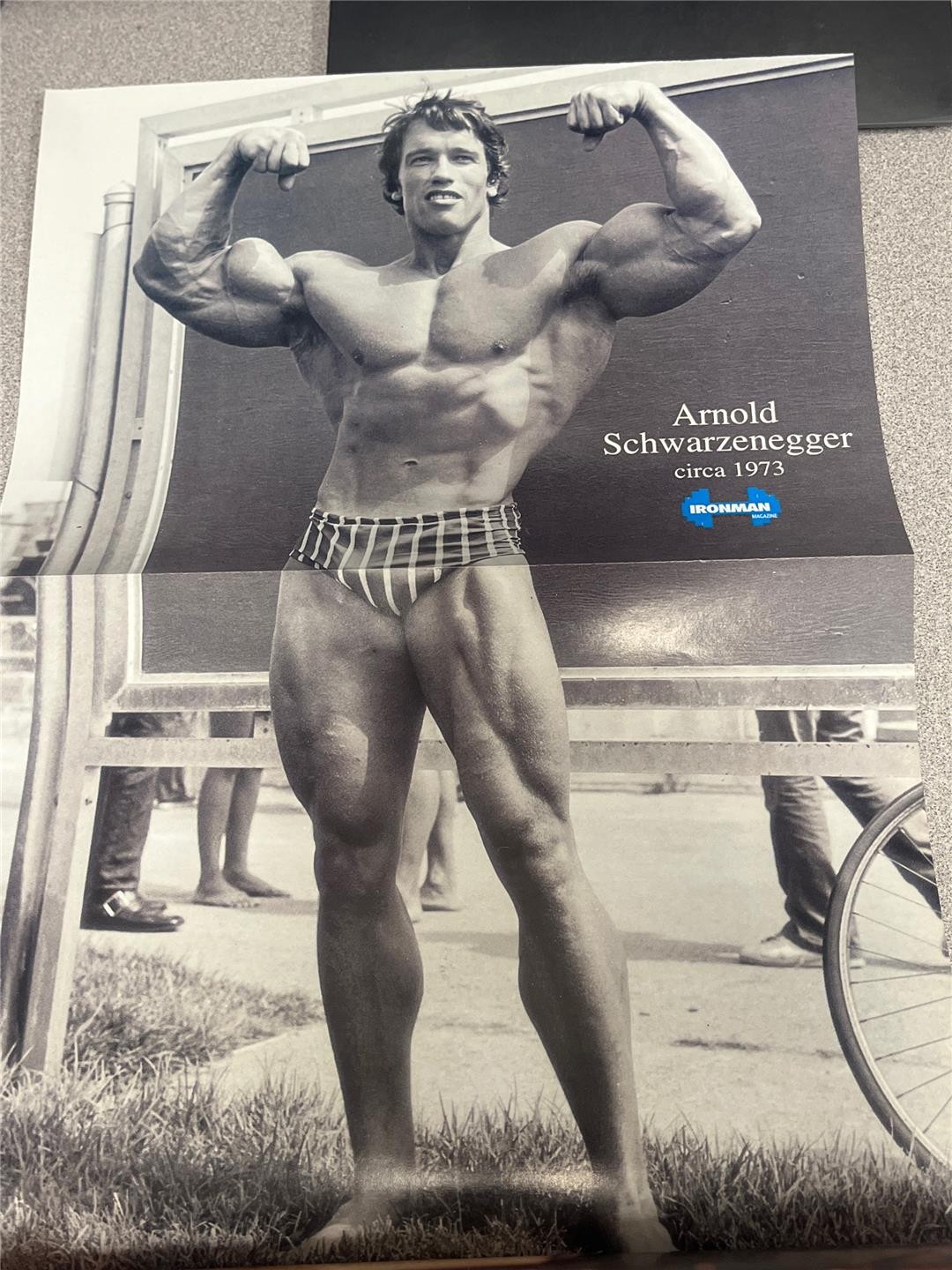 IRONMAN muscle magazine DEBBIE DOBBINS Arnold Schwarzenegger poster 2-94