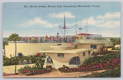 Marine Studios Oceanarium Marineland Florida World's Oceanarium Postcard Linen