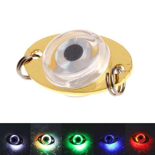 10 x mini lampe de pêche DEL appât lumineux sous-marin vert brillant lampe à poisson - Photo 1 sur 12