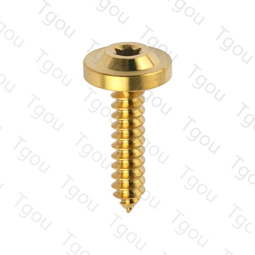 Tgou Titanium M4/M5x15 17 20 25mm Self Tapping Torx Head Screw for Motorcycle - Picture 32 of 40