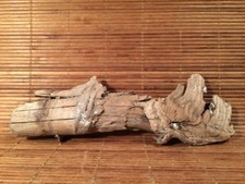 Beautiful 10" DRIFTWOOD Piece Art Terrarium Taxidermy Aquarium Reptile DECOR