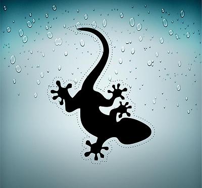aufkleber auto moto jdm mac motorrad tuning salamander gecko reptil r2