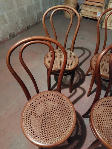 6 SEDIE tipo Vienna Thonet Jacob & Joseph KOHN Wien In Ottime Condizioni - Foto 7 di 11