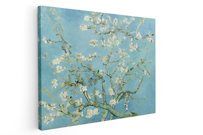 Quadro Van Gogh - Ramo Di Mandorlo Fiorito, Riproduzione Su Tela 70x55 Cm, Made In Italy - 6