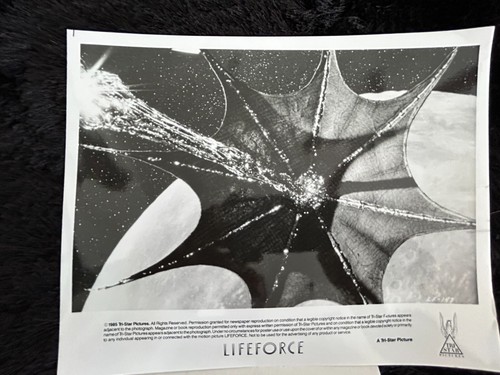 Seven(7) 1985 "Lifeforce" Tri Star Pictures Publicity Photograph Press Releases - Picture 8 of 13