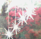 Bild 3 von 7