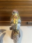 Foto 16 di 24