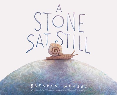 A Stone Sat Still: (Environmental and Nature Picture Book for Kids, Perspect...