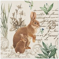 20 Servietten Mystery Bunny Hase Tiere Blumen Schrift Vintage Stil Deko 33X33Cm