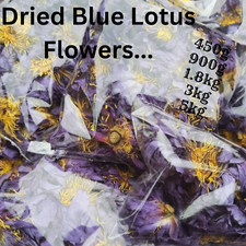 Nymphaea Caerulea fiore di loto blu essiccato tisana naturale biologico confezione a mano