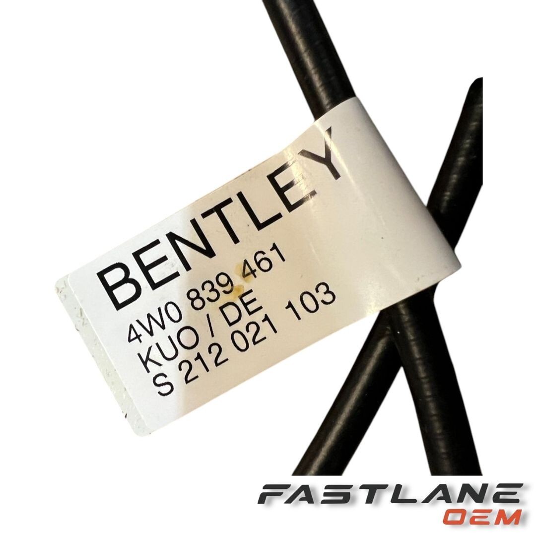 2013-2018 BENTLEY FLYING SPUR REAR LEFT DOOR WINDOW REGULATOR NEW OEM 4W0839461