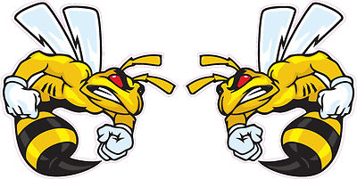 Ski-Doo Angry Bee Pairs Decal 4'' Each