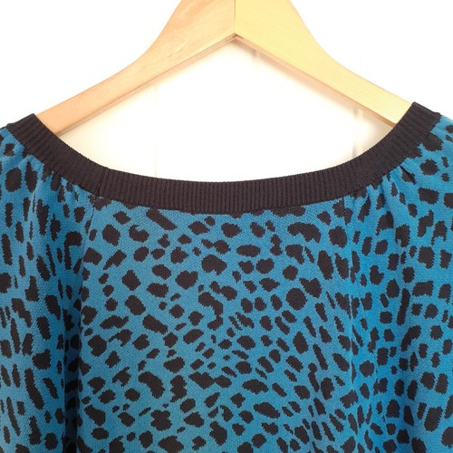 Ann Taylor Leopard Print Raglan Sleeve Sweater Blue Size XL - Picture 5 of 8