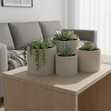 Planter set of 4 for indoor plants, suculants and cactus etc
