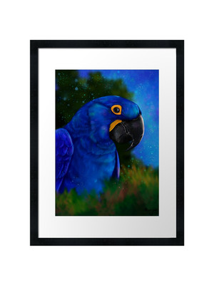 Hyazinthe Ara gerahmtes Wandbild Poster Druck Bild