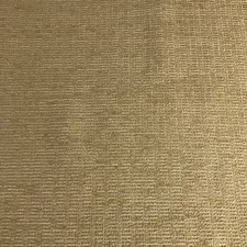 Swavelle Rodeo Celery Beige Upholstery Fabric