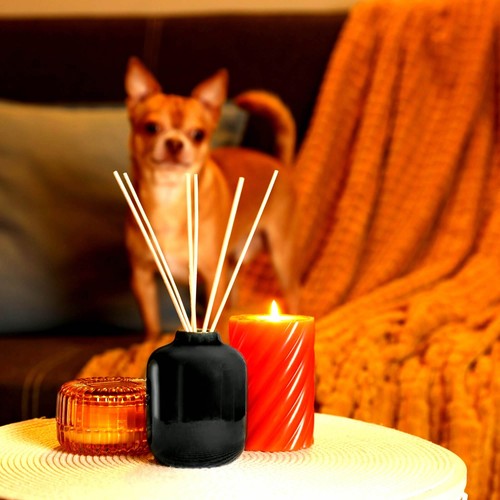 Honeysuckle Jasmine Diffuser Fragrance Oil Refill Air Freshener & Reeds - Picture 8 of 10