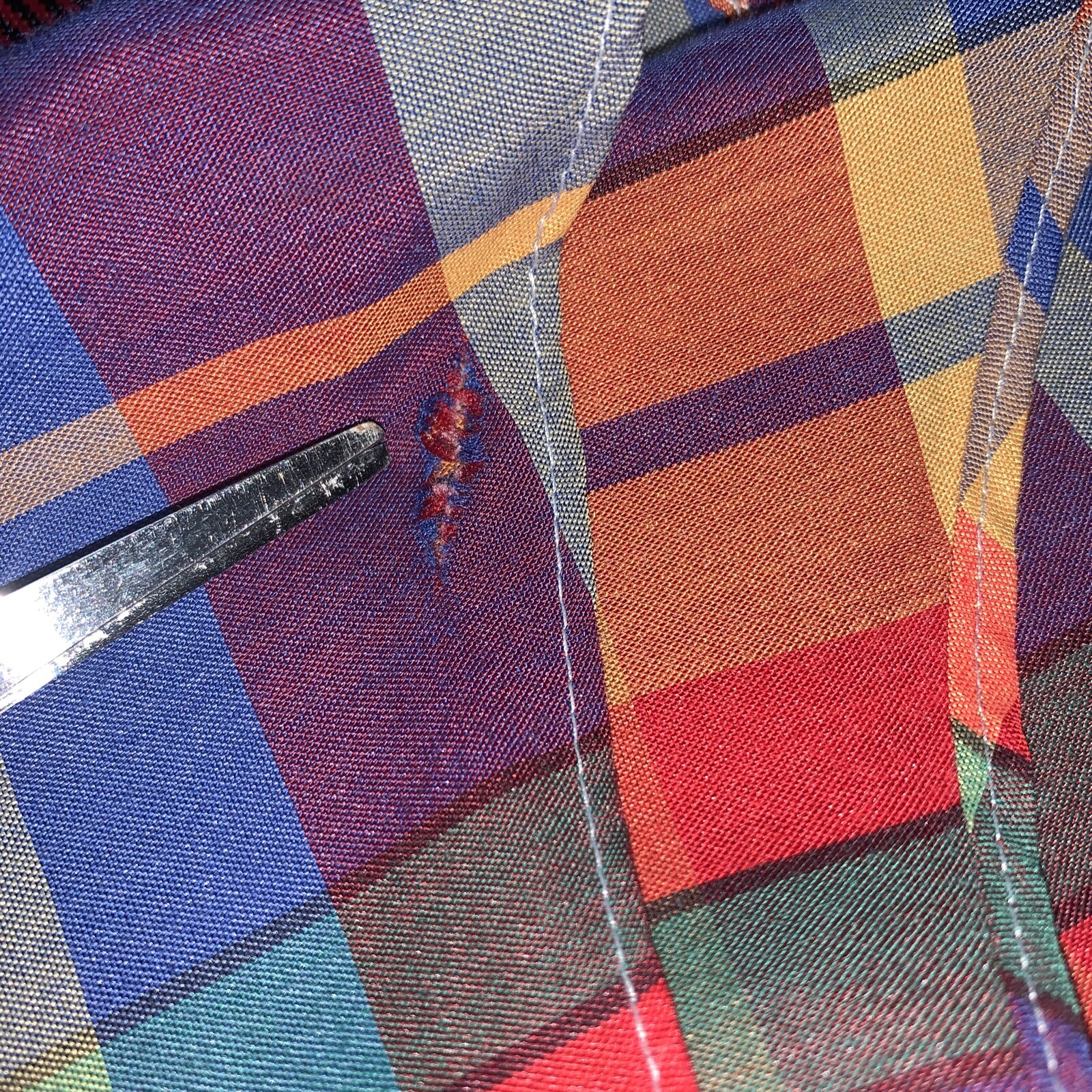 Picture 7 of 7
