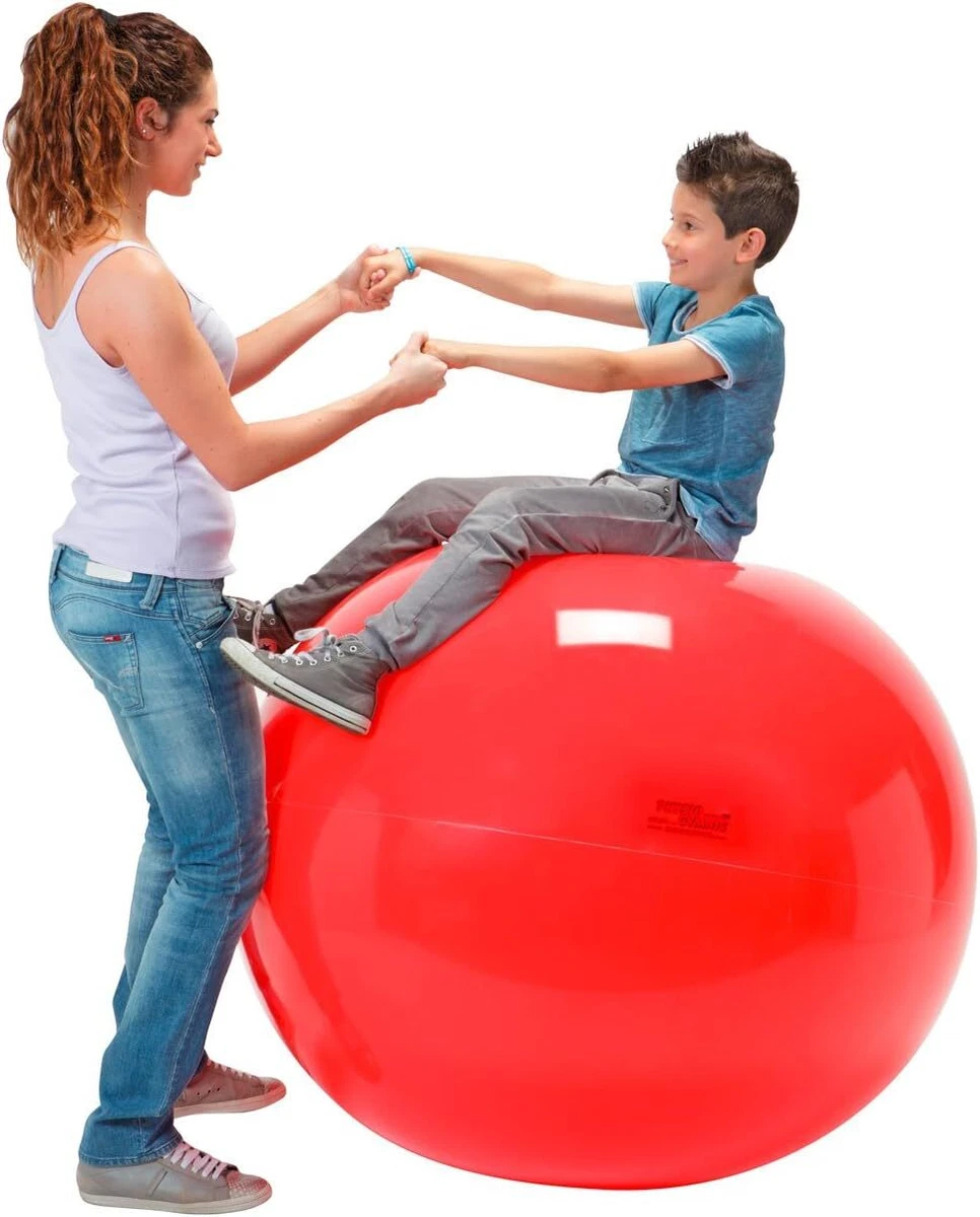 Physio 2024 exercise ball