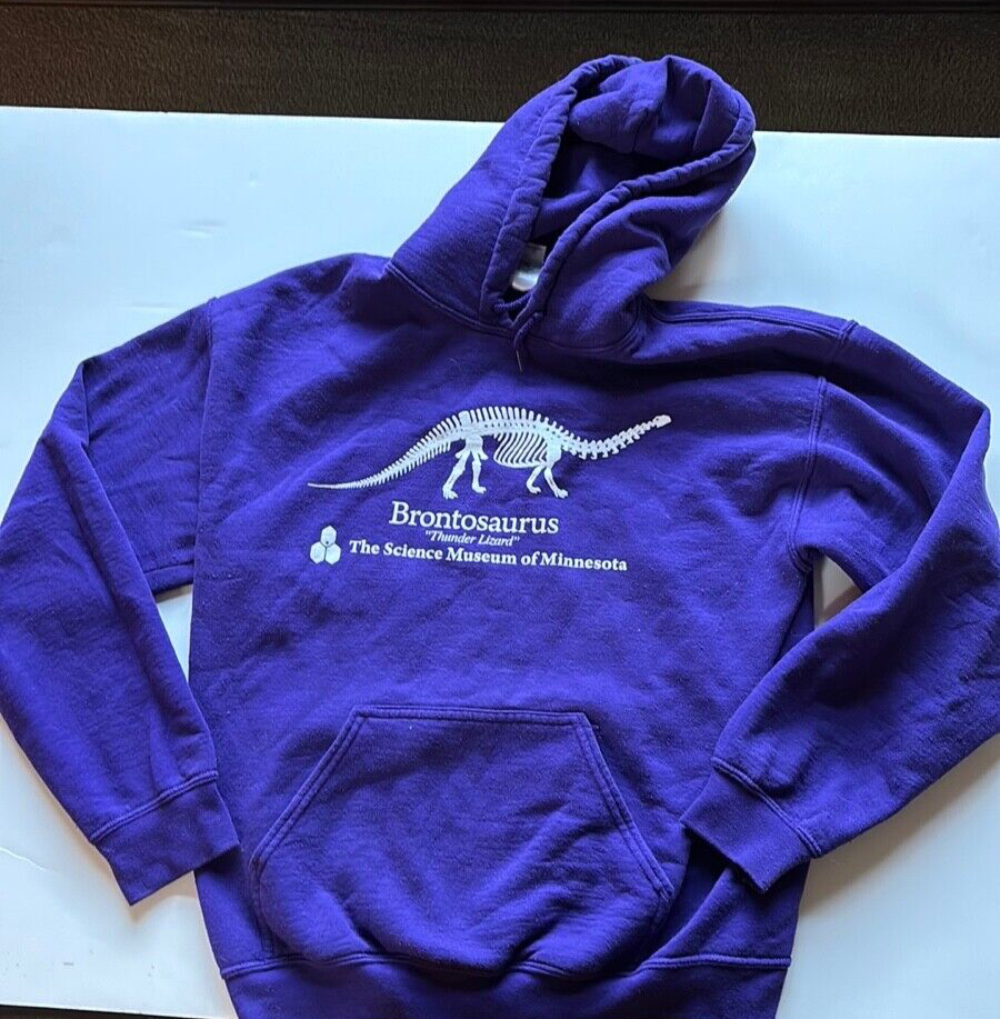 Stranger Things Purple Brontosaurus Hoodie Sweatshirt sz Adult Medium |  eBay UK