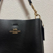 COACH handbag a