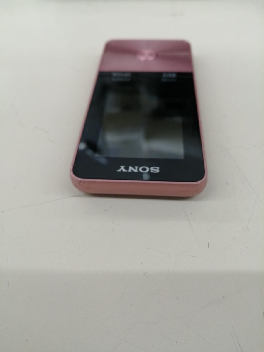 SONY NW-S313 WALKMAN Digital Music Player 3020290 | eBay