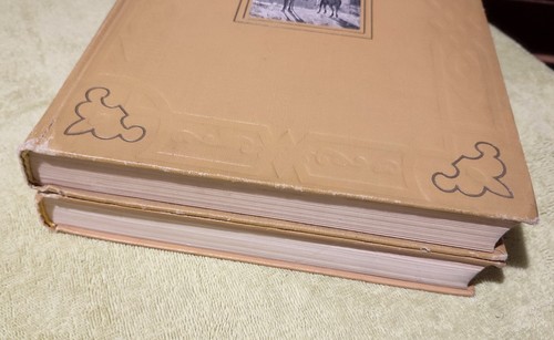 Дон Кихот Сервантес 2 тома 1953 Don Quixote by Cervantes in 2 Vol RARE Edition - Foto 5 di 24