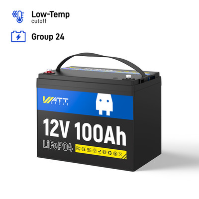 12V 100Ah LiFePO4 Batterie Akku Wohnmobile Bootsbatterie Stromspeicher Camping