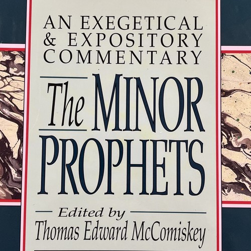 The Minor Prophets (Vol. 3) by Thomas Edward McComiskey (edited by) - Picture 2 of 7