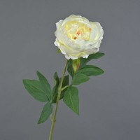 Artplants Deko Pfingstrose Talfy, Creme, 65Cm
