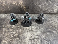 Warhammer 40K Captain in Terminator Armor Painted with 2x Guards 2970