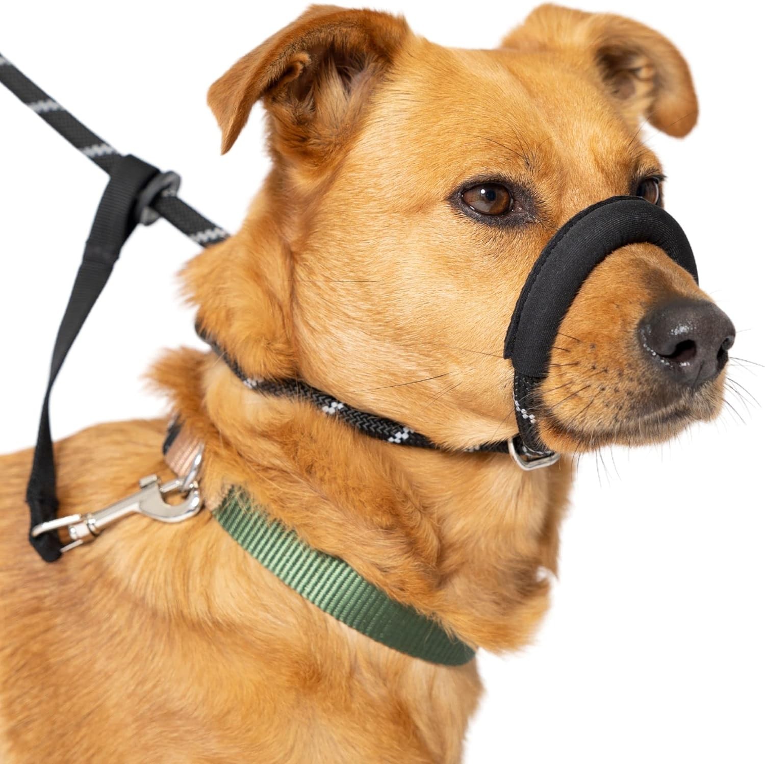 Figure of 8 Dog Lead With Padded Nose Loop-Anti Pull Dog Lead Stop Dogs Pulling