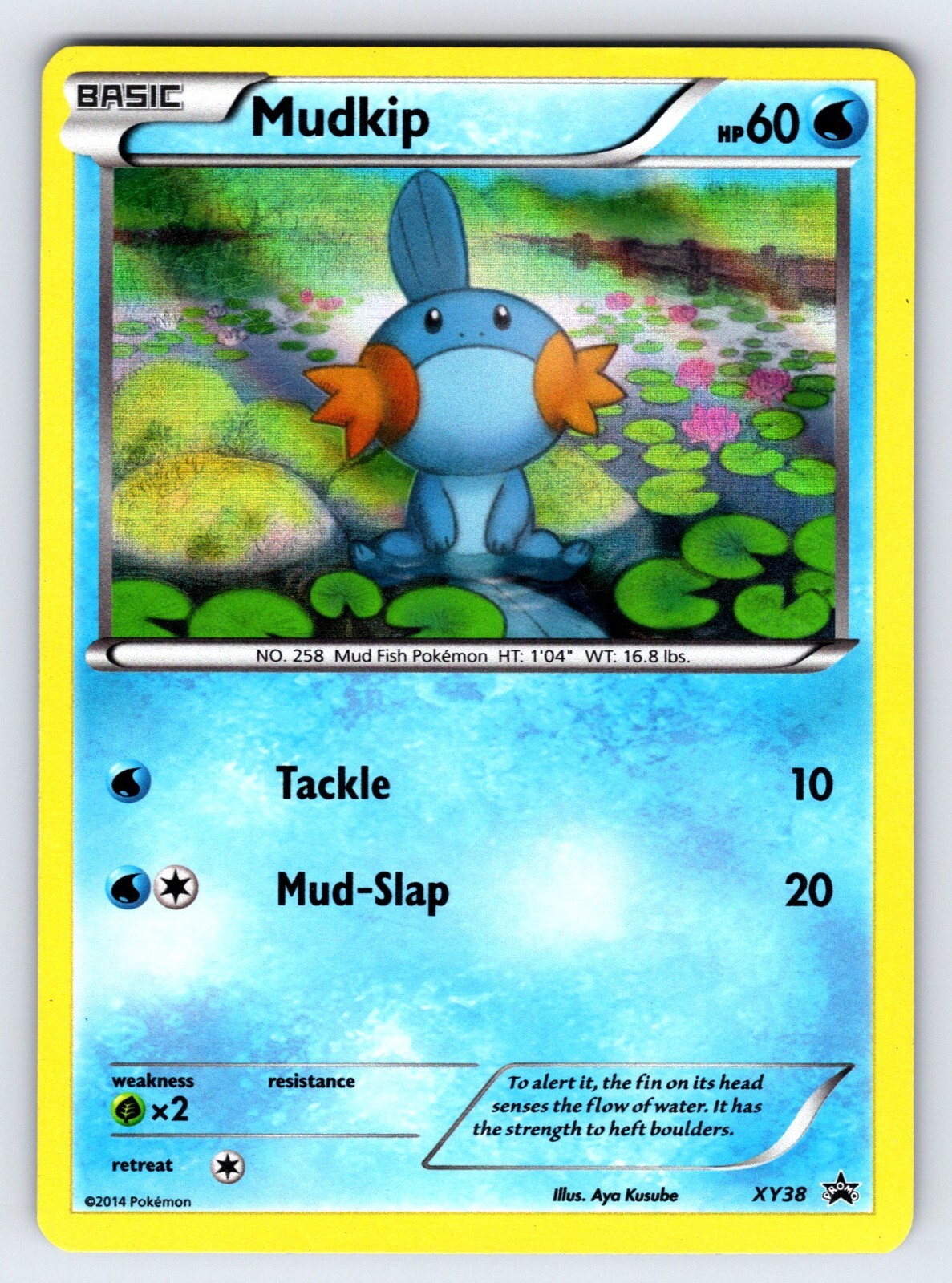 Mudkip XY38 Black Star Promo Pokemon Card TCG Nintendo Holo Rare Exclusive - Lp