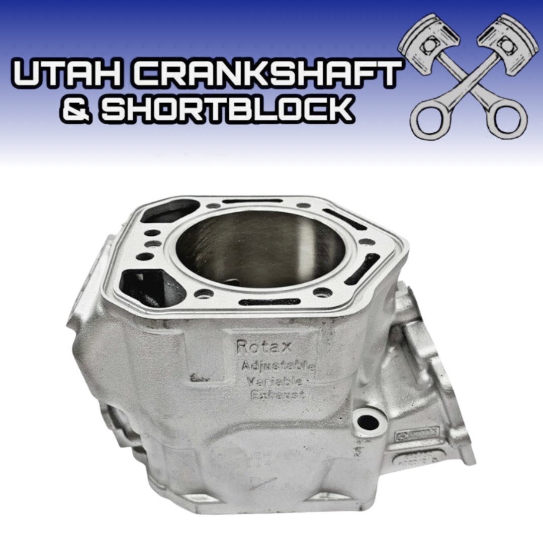 Replated STD Ski-Doo 800 HO Cylinder 2003-2007 MXZ GTX GSX